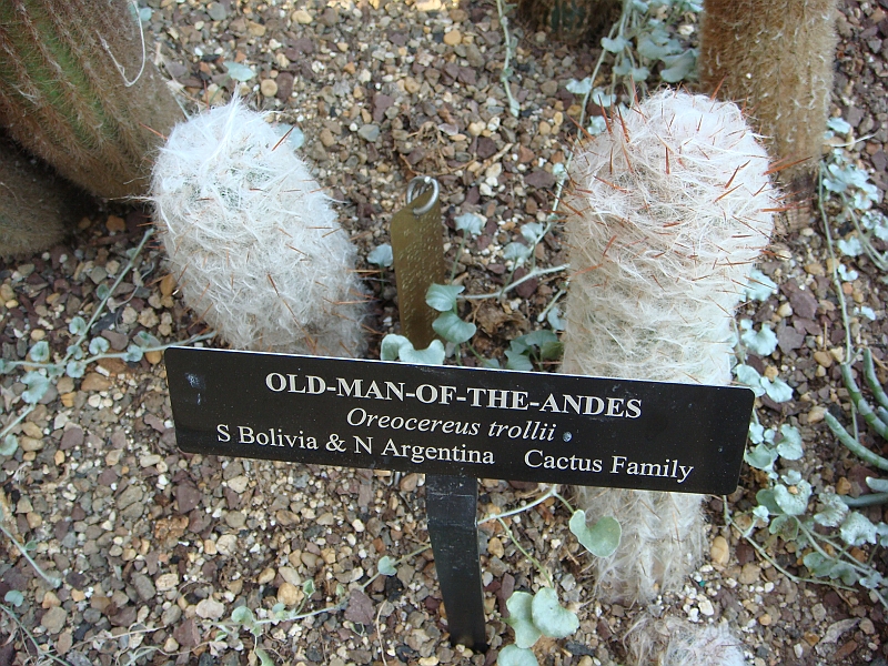 411 Longwood Gardens [2008 August 23].JPG - Longwood Gardens in Pennsylvania